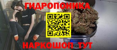 PSILOCYBIN Обь